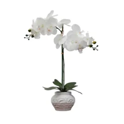 Kirkland's Home Orchid Arrangement In Floral Planter- Arrangements & Greenery