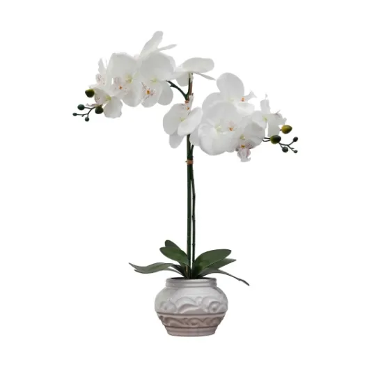 Kirkland's Home Orchid Arrangement In Floral Planter- Arrangements & Greenery