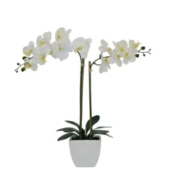 Kirkland's Home Orchid Arrangement In Pot- Arrangements & Greenery