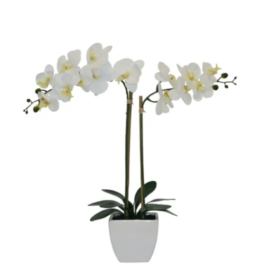 Kirkland's Home Orchid Arrangement In Pot- Arrangements & Greenery