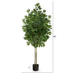 Kirkland's Home Outdoor Bright Green Ficus Tree, 64 In.- Trees & Topiaries