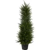 Kirkland's Home Outdoor Cypress Tree In Black Nursery Planter- Trees & Topiaries