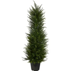 Kirkland's Home Outdoor Cypress Tree In Black Nursery Planter- Trees & Topiaries