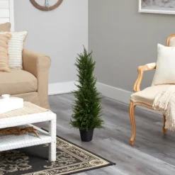 Kirkland's Home Outdoor Cypress Tree In Black Nursery Planter- Trees & Topiaries