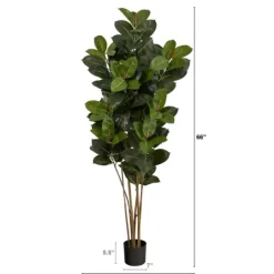 Kirkland's Home Outdoor Oak Tree In Black Nursery Planter- Trees & Topiaries