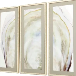 Kirkland's Home Oyster Shell 3-Pc. Framed Wall Art Set- Framed Art