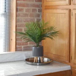 Kirkland's Home Palm Arrangement In Gray Footed Pot- Arrangements & Greenery
