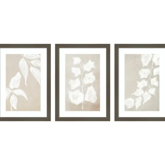 Kirkland's Home Paper Bark 3-Pc. Framed Wall Art Set- Framed Art