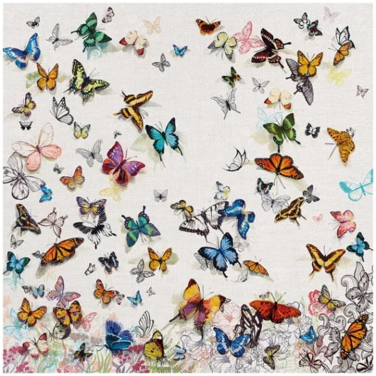 Kirkland's Home Papillon Canvas Art Print- Canvas Art