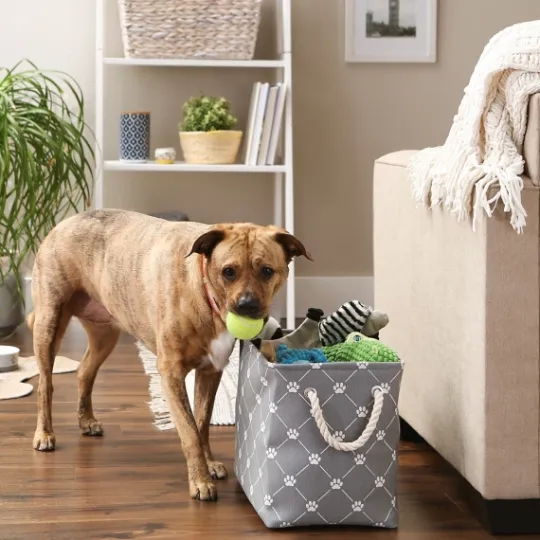 Kirkland's Home Paw Trellis Rectangle Basket, 16 In.- Baskets & Boxes