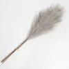 Kirkland's Home 3-Pc. Pampas Grass Bundle, 38 In.- Stems & Bouquets