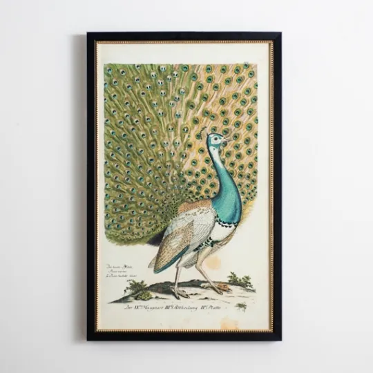 Kirkland's Home Peacock Framed Wall Art- Framed Art