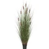 Kirkland's Home Potted Brown Cats Tails Grass, 48 In.- Trees & Topiaries