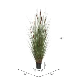Kirkland's Home Potted Brown Cats Tails Grass, 48 In.- Trees & Topiaries