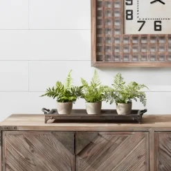 Kirkland's Home Potted Fern Arrangements, Set Of 3- Arrangements & Greenery