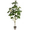 Kirkland's Home Potted Fig Fruit Tree, 4 Ft.- Trees & Topiaries