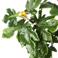 Kirkland's Home Potted Fig Fruit Tree, 4 Ft.- Trees & Topiaries