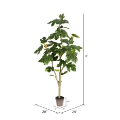 Kirkland's Home Potted Fig Fruit Tree, 4 Ft.- Trees & Topiaries
