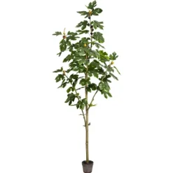 Kirkland's Home Potted Fig Tree, 7 Ft.- Trees & Topiaries