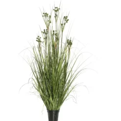 Kirkland's Home Potted Grass With Pomp Balls- Arrangements & Greenery