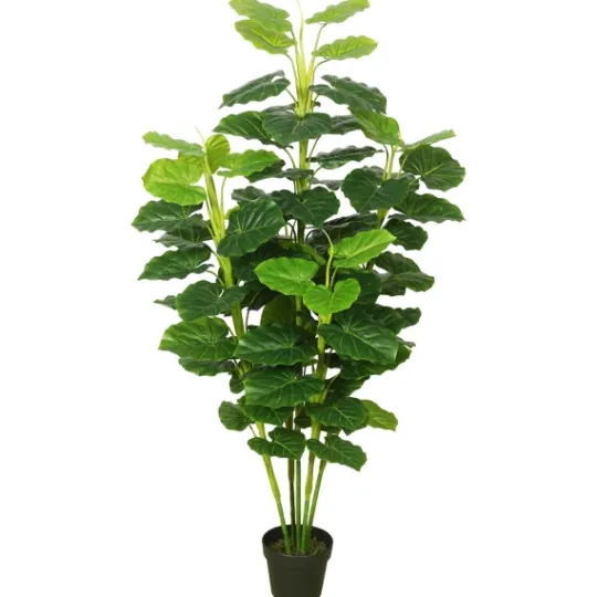 Kirkland's Home Potted Green Philodendron Tree- Trees & Topiaries