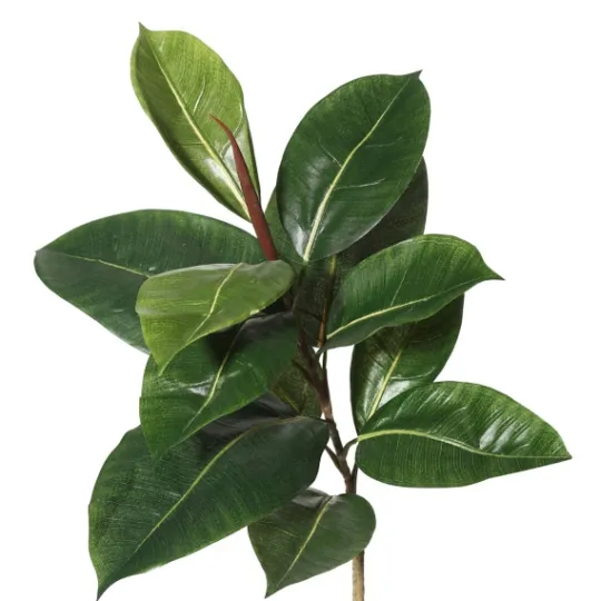 Kirkland's Home Potted Green Rubber Tree, 5 Ft.- Trees & Topiaries