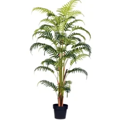 Kirkland's Home Potted Large Leaf Fern Palm Plant, 59 In.- Arrangements & Greenery