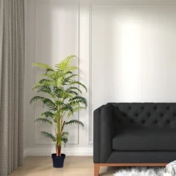 Kirkland's Home Potted Large Leaf Fern Palm Plant, 59 In.- Arrangements & Greenery