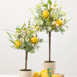 Kirkland's Home Potted Lemon And Berry Herb Trees, Set Of 2- Trees & Topiaries