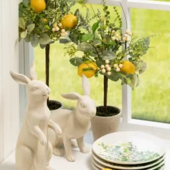 Kirkland's Home Potted Lemon And Berry Herb Trees, Set Of 2- Trees & Topiaries