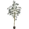 Kirkland's Home Potted Olive Branch Tree, 6 Ft.- Trees & Topiaries