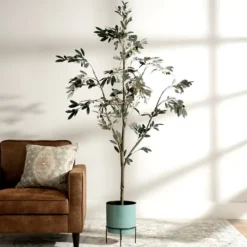 Kirkland's Home Potted Olive Branch Tree, 6 Ft.- Trees & Topiaries