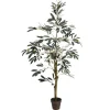 Kirkland's Home Potted Olive Tree, 4 Ft.- Trees & Topiaries