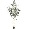 Kirkland's Home Potted Olive Tree, 7 Ft.- Trees & Topiaries