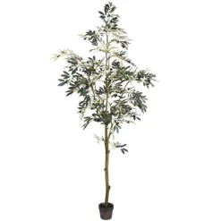 Kirkland's Home Potted Olive Tree, 7 Ft.- Trees & Topiaries
