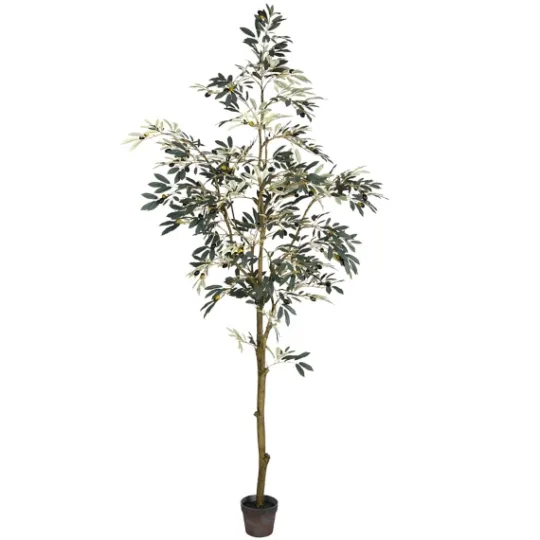 Kirkland's Home Potted Olive Tree, 7 Ft.- Trees & Topiaries
