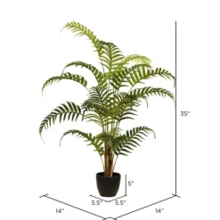 Kirkland's Home Potted Small Leaf Fern Palm Plant, 35 In.- Arrangements & Greenery