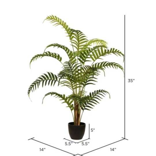 Kirkland's Home Potted Small Leaf Fern Palm Plant, 35 In.- Arrangements & Greenery