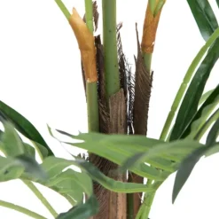 Kirkland's Home Potted Small Leaf Fern Palm Plant, 35 In.- Arrangements & Greenery