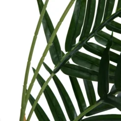 Kirkland's Home Potted Small Leaf Fern Palm Plant, 35 In.- Arrangements & Greenery