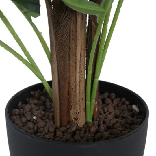 Kirkland's Home Potted Small Leaf Fern Palm Plant, 35 In.- Arrangements & Greenery