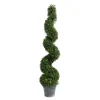 Kirkland's Home Potted Spiral Boxwood Tree- Trees & Topiaries