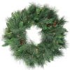 Kirkland's Home Pre-Lit White Valley Pine Wreath- Wreaths