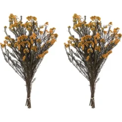 Kirkland's Home Preserved Aspen Rice Flower Bundle- Stems & Bouquets