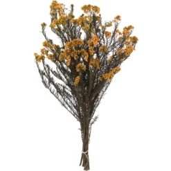 Kirkland's Home Preserved Autumn Rice Flower Bundle- Stems & Bouquets