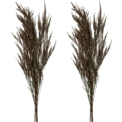 Kirkland's Home Preserved Green Reed Grass Bundle- Stems & Bouquets