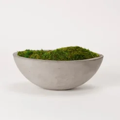 Kirkland's Home Preserved Mood Moss In Oval Concrete Bowl- Arrangements & Greenery