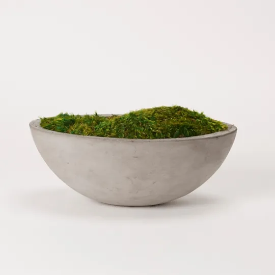 Kirkland's Home Preserved Mood Moss In Oval Concrete Bowl- Arrangements & Greenery