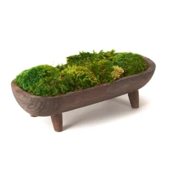 Kirkland's Home Preserved Mood Moss In Wooden Bowl With Legs- Arrangements & Greenery