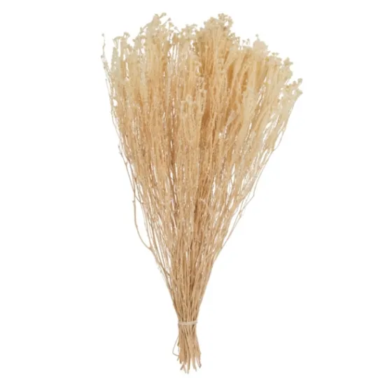 Kirkland's Home Preserved Natural Bleached Staavia Bush- Stems & Bouquets